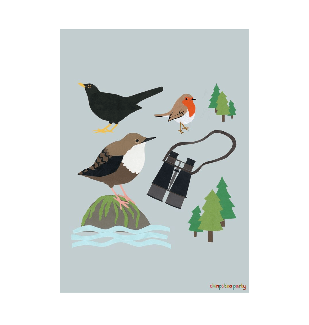 White Bird spotter A3 print