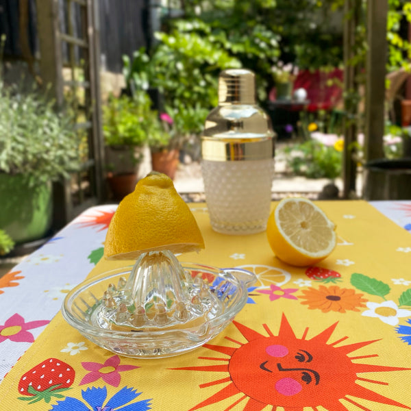 Vintage glass lemon juicer