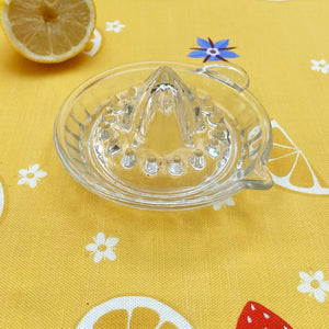 Vintage glass lemon juicer