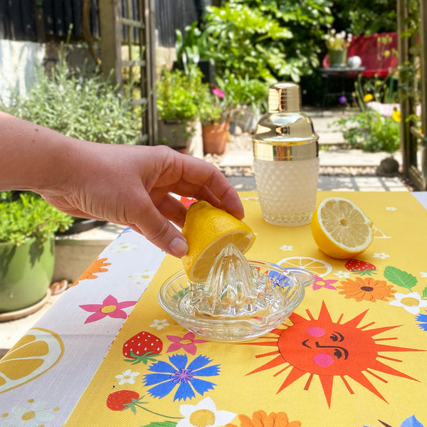 Vintage glass lemon juicer